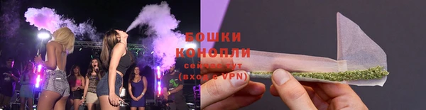 ПСИЛОЦИБИНОВЫЕ ГРИБЫ Корсаков