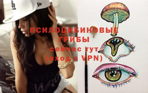 прущие грибы Козельск