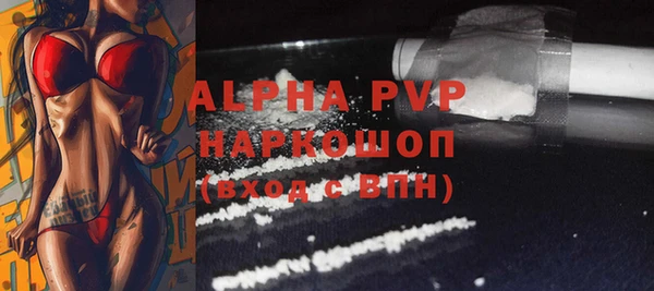 гидра Покачи