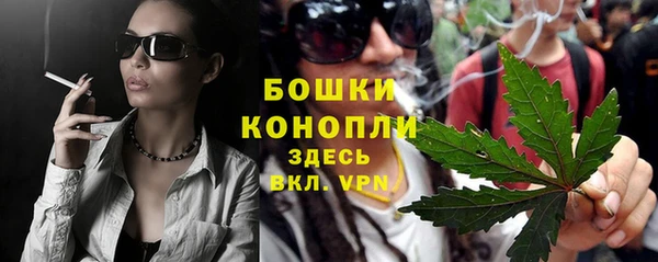 ПСИЛОЦИБИНОВЫЕ ГРИБЫ Корсаков