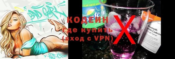 прущие грибы Козельск