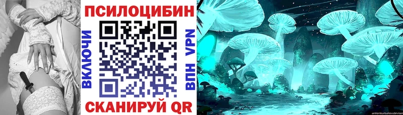 Галлюциногенные грибы MAGIC MUSHROOMS  blacksprut как зайти  Киржач 