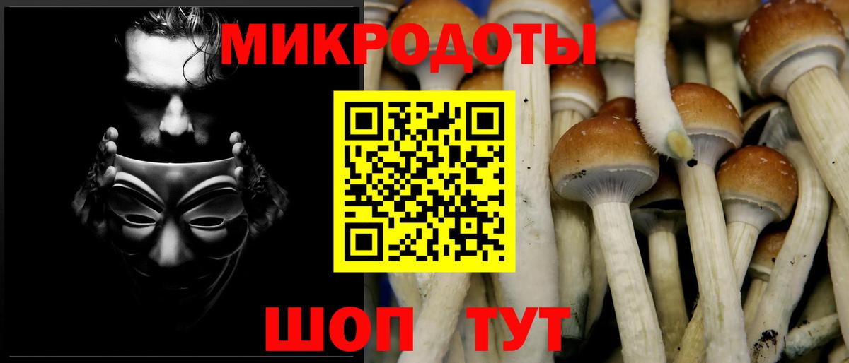 Киржач  Галлюциногенные грибы Cubensis  Вход с VPN 